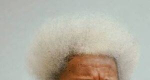 Foreign Involvement Could Aggravate Nigeria’s Insecurity, Soyinka Warns