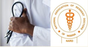 NARD Announces Indefinite Nationwide Strike Over Unmet Demands