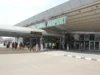 Bird Strike Grounds Flight, Sparks Passenger Riot At Abuja Airport