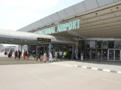 Bird Strike Grounds Flight, Sparks Passenger Riot At Abuja Airport