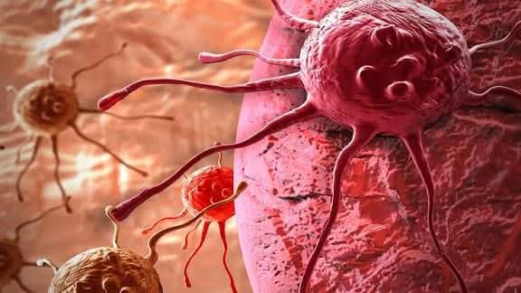 FB_IMG_1765010095706