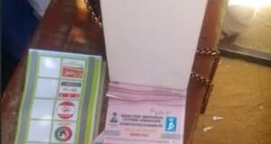 Borno LG Poll: PDP, ADC Off Ballot As Residents Cast Votes