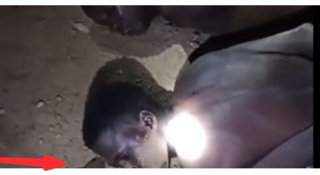 Screenshot_20251214-073036