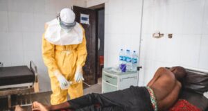 Nigeria Records 33 New Lassa Fever Cases As Fatality Rate Rises To 18.2%