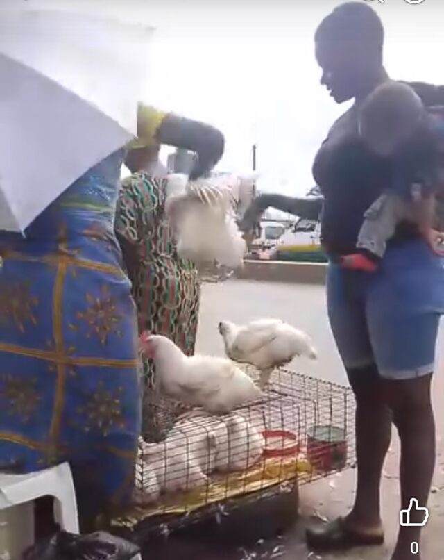 Screenshot_20251228-095628