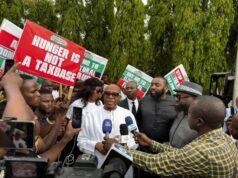 Why I Attended NASS Protest With My Doctor Son – Amaechi