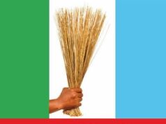 APC Extends Sale Of Forms For National Convention, Moves South-South Zonal Congress To Asaba In New Timetable