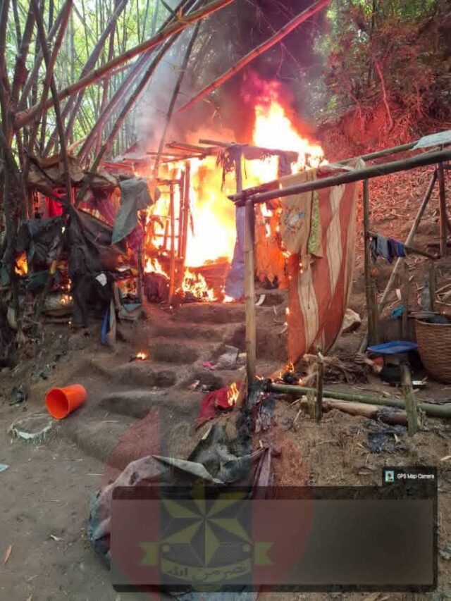 FB_IMG_1772211704120