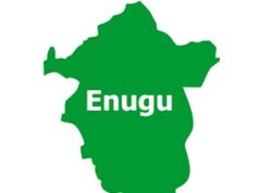 Court Judgment: Ogui-Nike Leaders Insist Ngwo Has No Territorial Claim In Enugu North Or Nkanu land