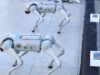 Mexican Police To Deploy Robot Dogs For 2026 World Cup
