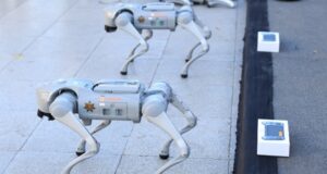 Mexican Police To Deploy Robot Dogs For 2026 World Cup
