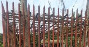 Suspected Vandal Electrocuted During Cable Theft In Enugu Substation