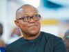 Presidency: I Won’t Contest Again After 2027 – Peter ObiÂ