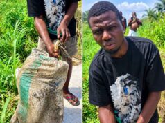 Anambra Police Arrest Man Over Murder Of Ex-Girlfriend In Uga