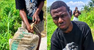 Anambra Police Arrest Man Over Murder Of Ex-Girlfriend In Uga