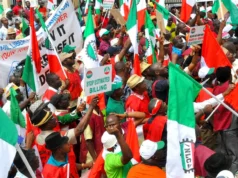 Civil Servants Groan Under Welfare Crisis, Tax Burden As Indefinite Strike Looms